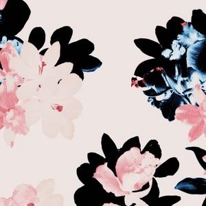 Meet your Posher, Maledy